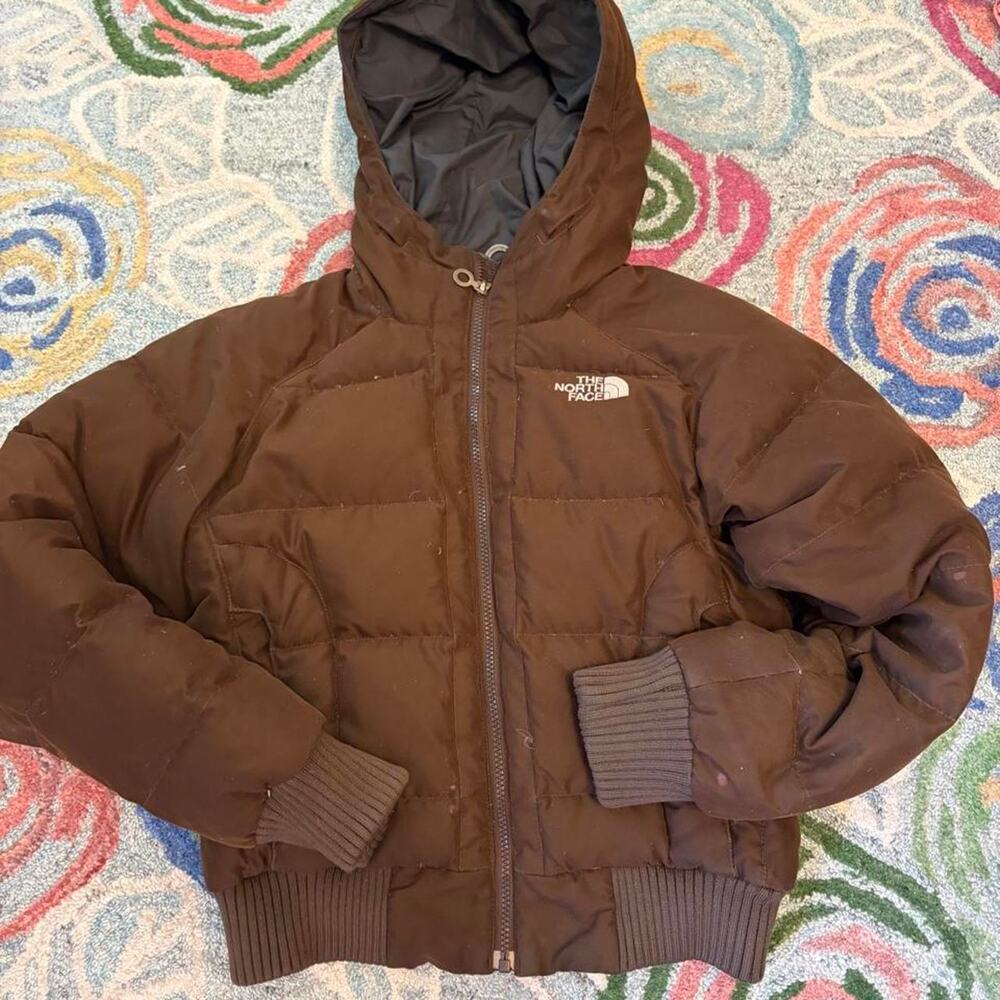 Brown the north face puffer